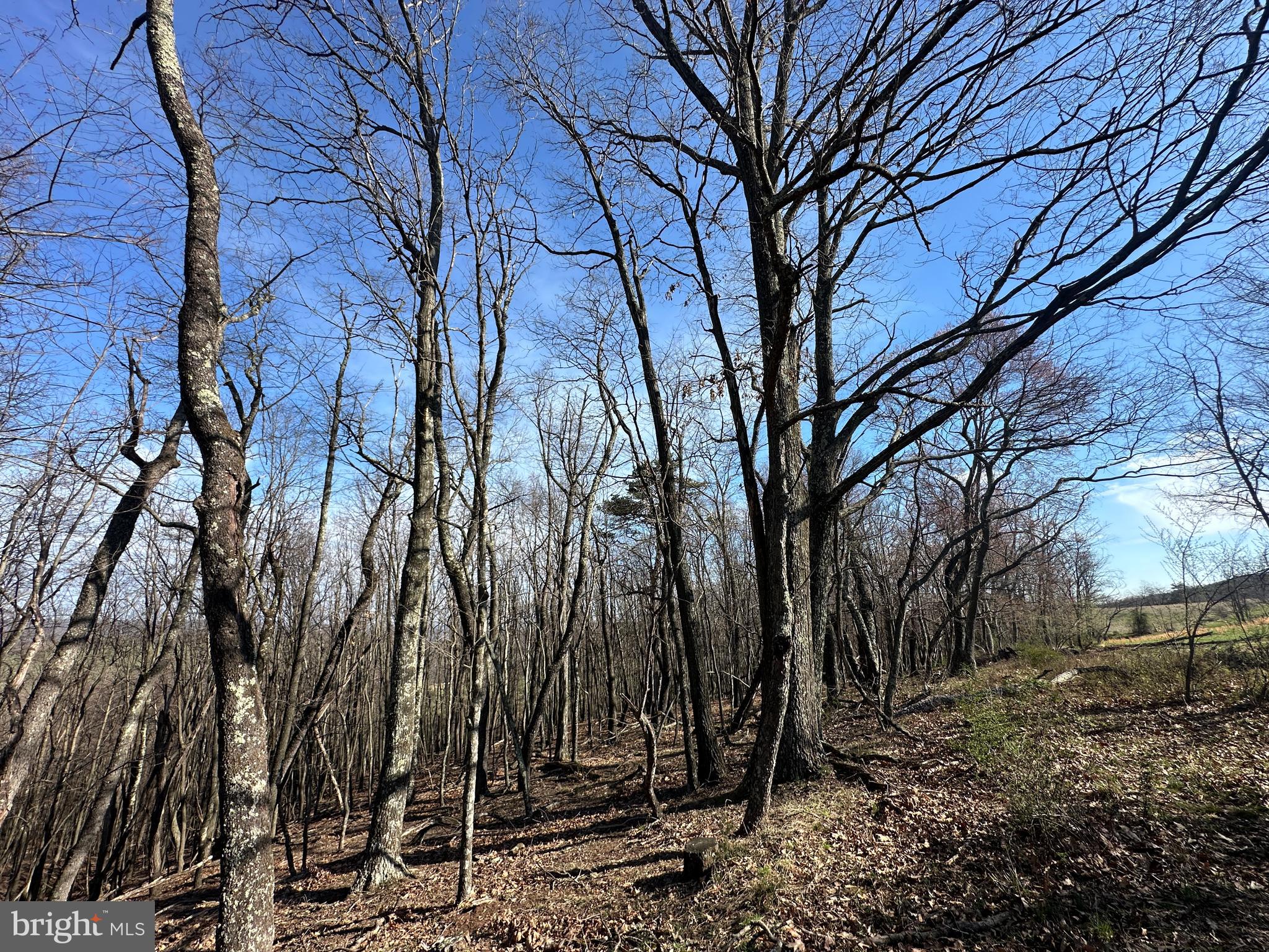 NONE AVAILABLE - Land