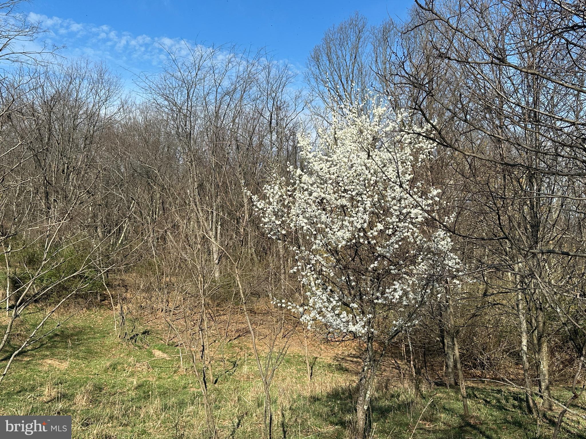 NONE AVAILABLE - Land