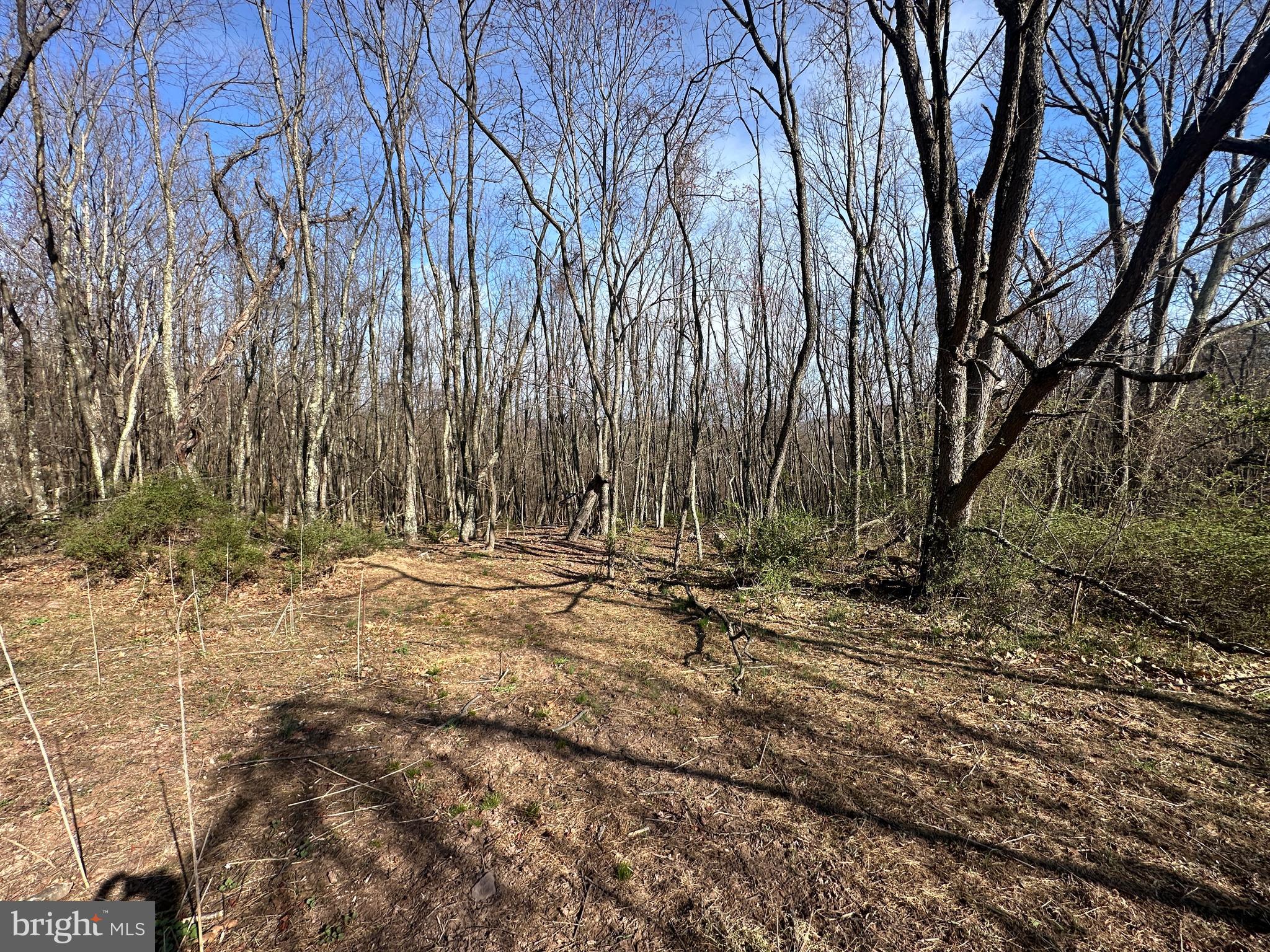 NONE AVAILABLE - Land