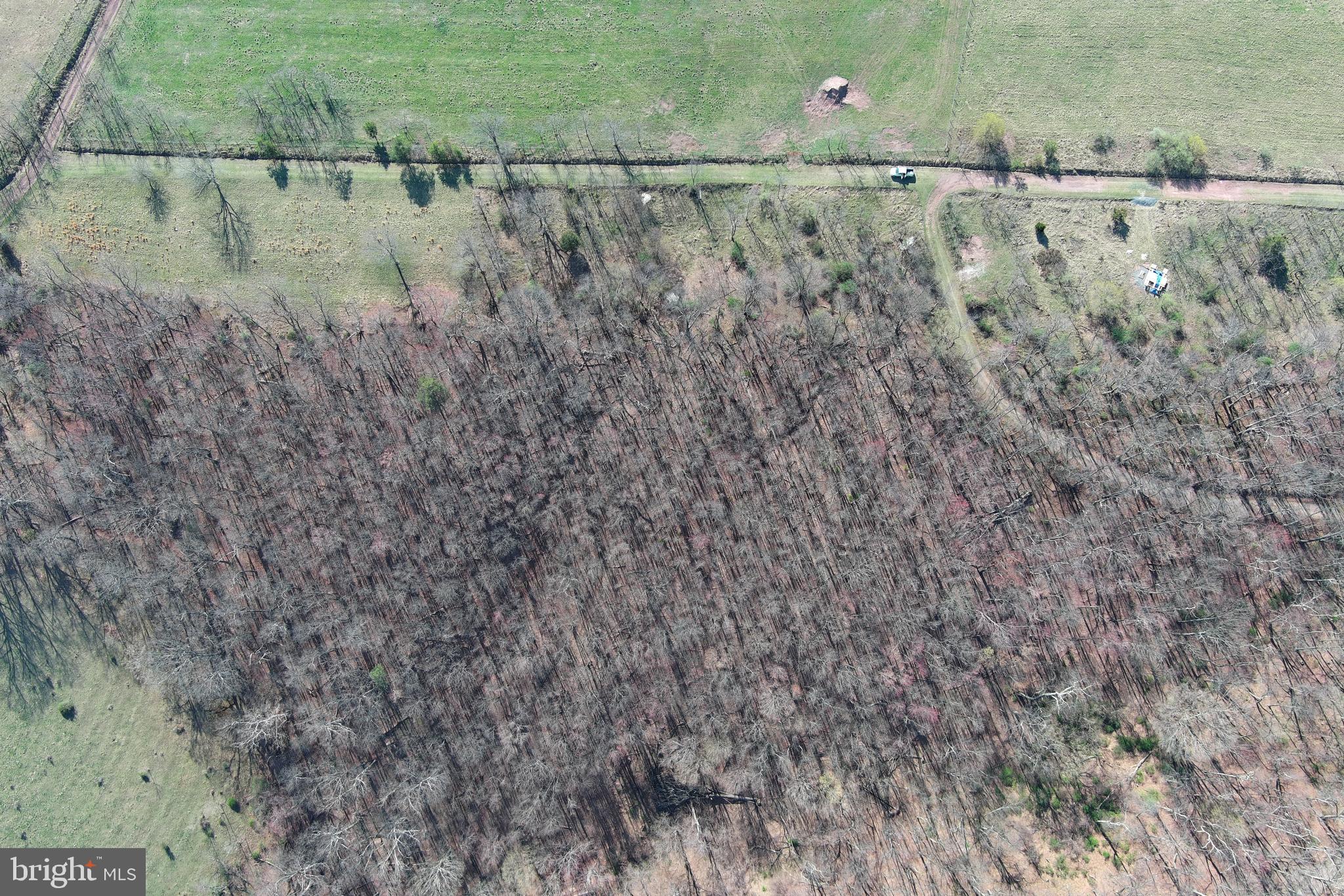 NONE AVAILABLE - Land