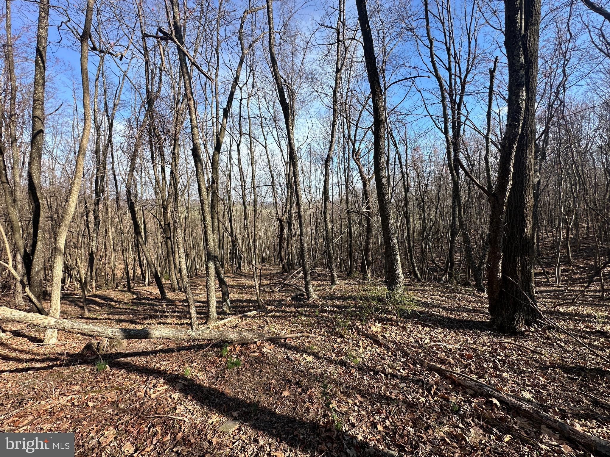 NONE AVAILABLE - Land