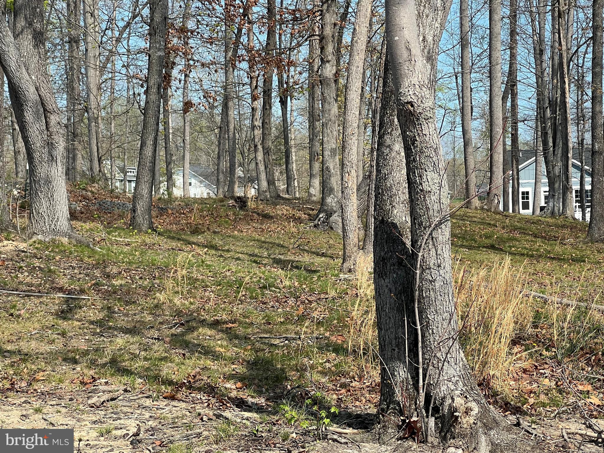 ELK CREEK LANDING - Land