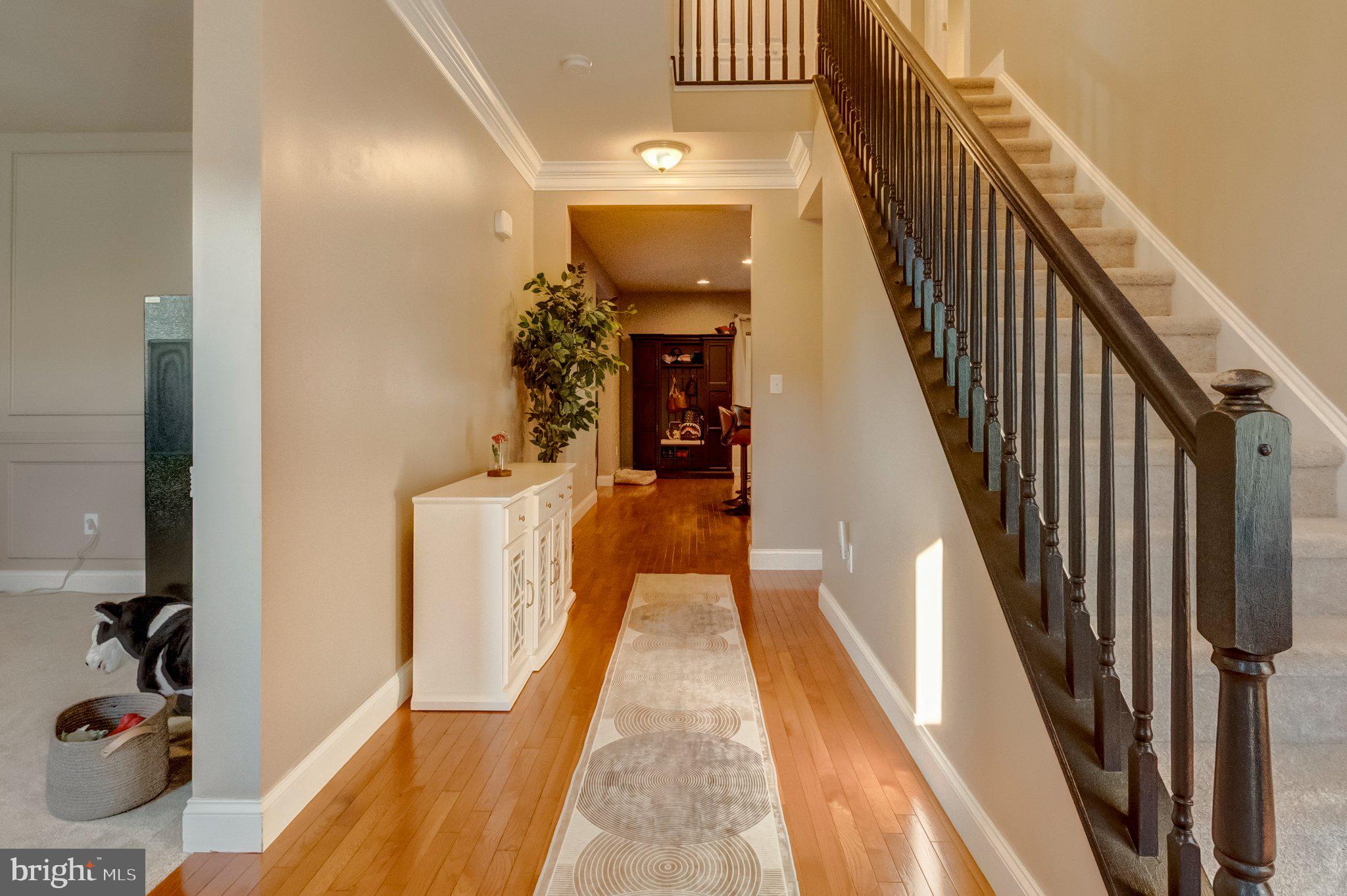 10 JAMESTOWN SQUARE