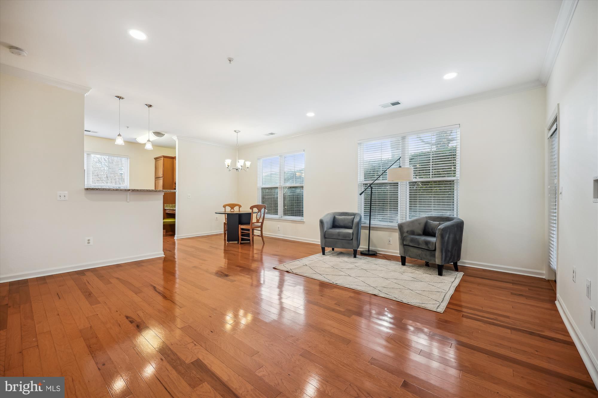 11750 OLD GEORGETOWN 2102