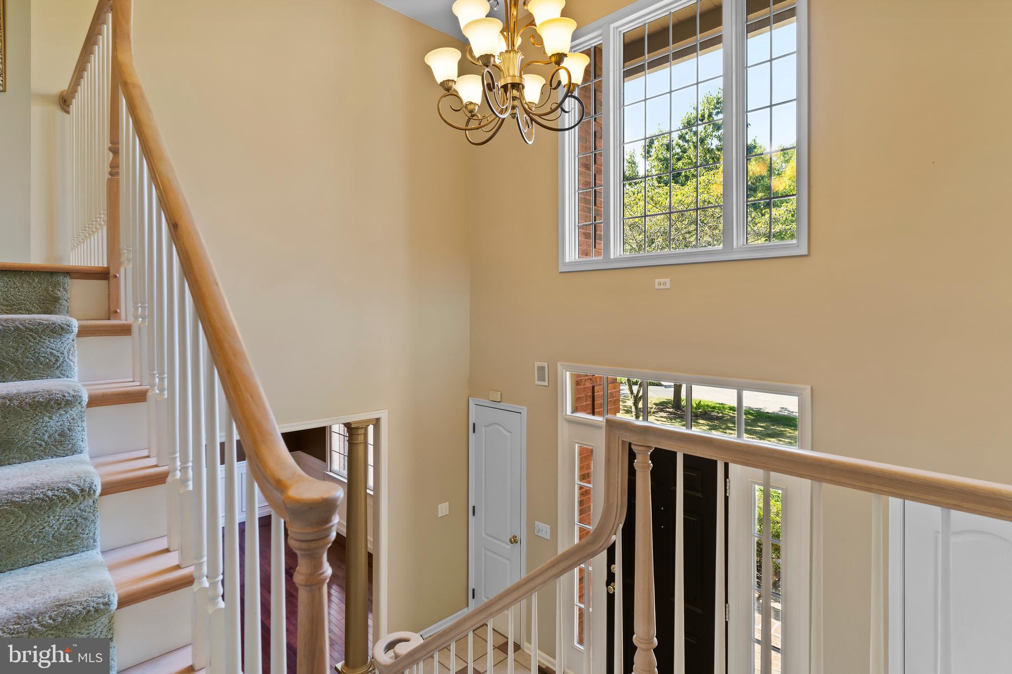 FLORIBUNDA - Residential