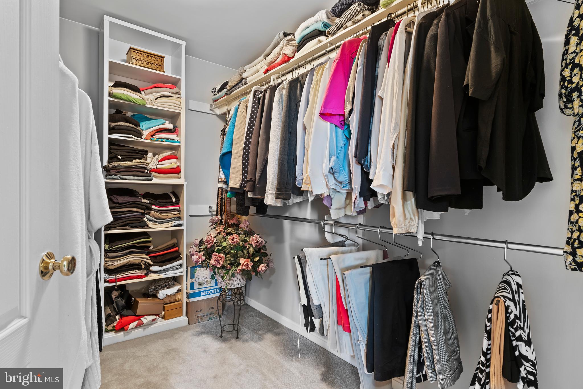 FLORIBUNDA - Residential