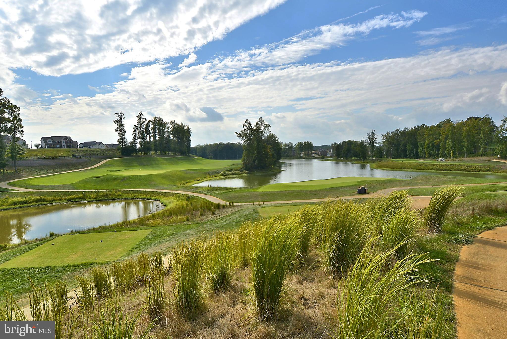 BEECH TREE SOUTH VILLAGE - Residential