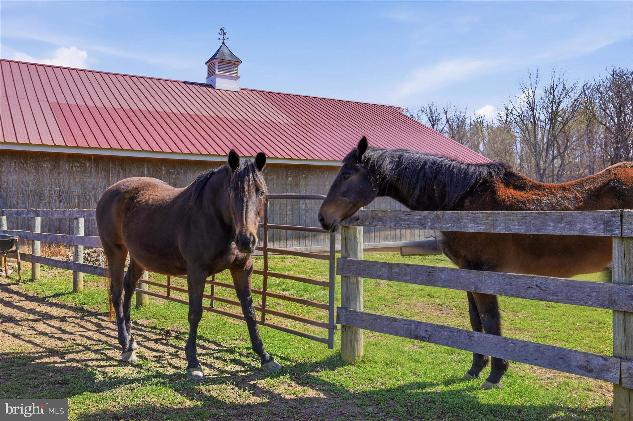 NONE AVAILABLE - Land