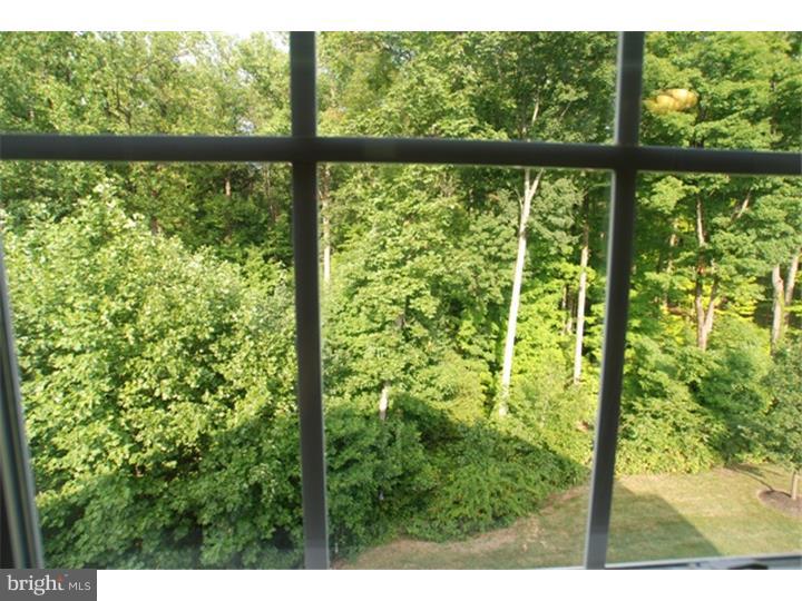 FOREST RIDGE - Residential