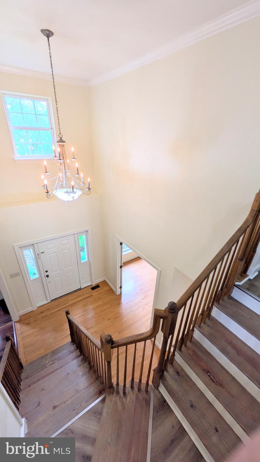 RIDINGS AT BELL T - Residential Lease