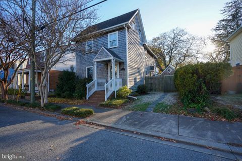 136 S WASHINGTON AVENUE LEWES DE 19958