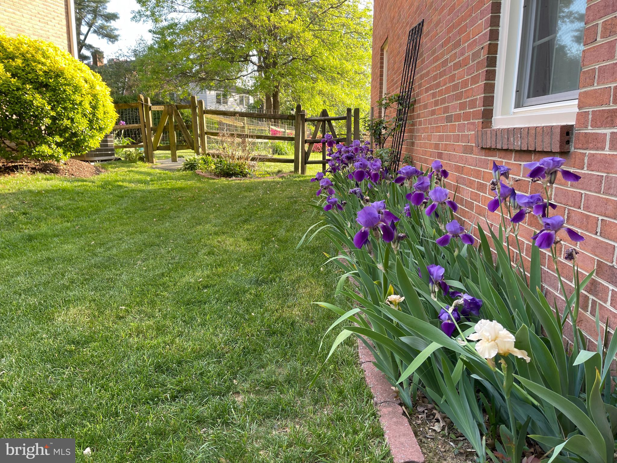 WHETSTONE - Residential