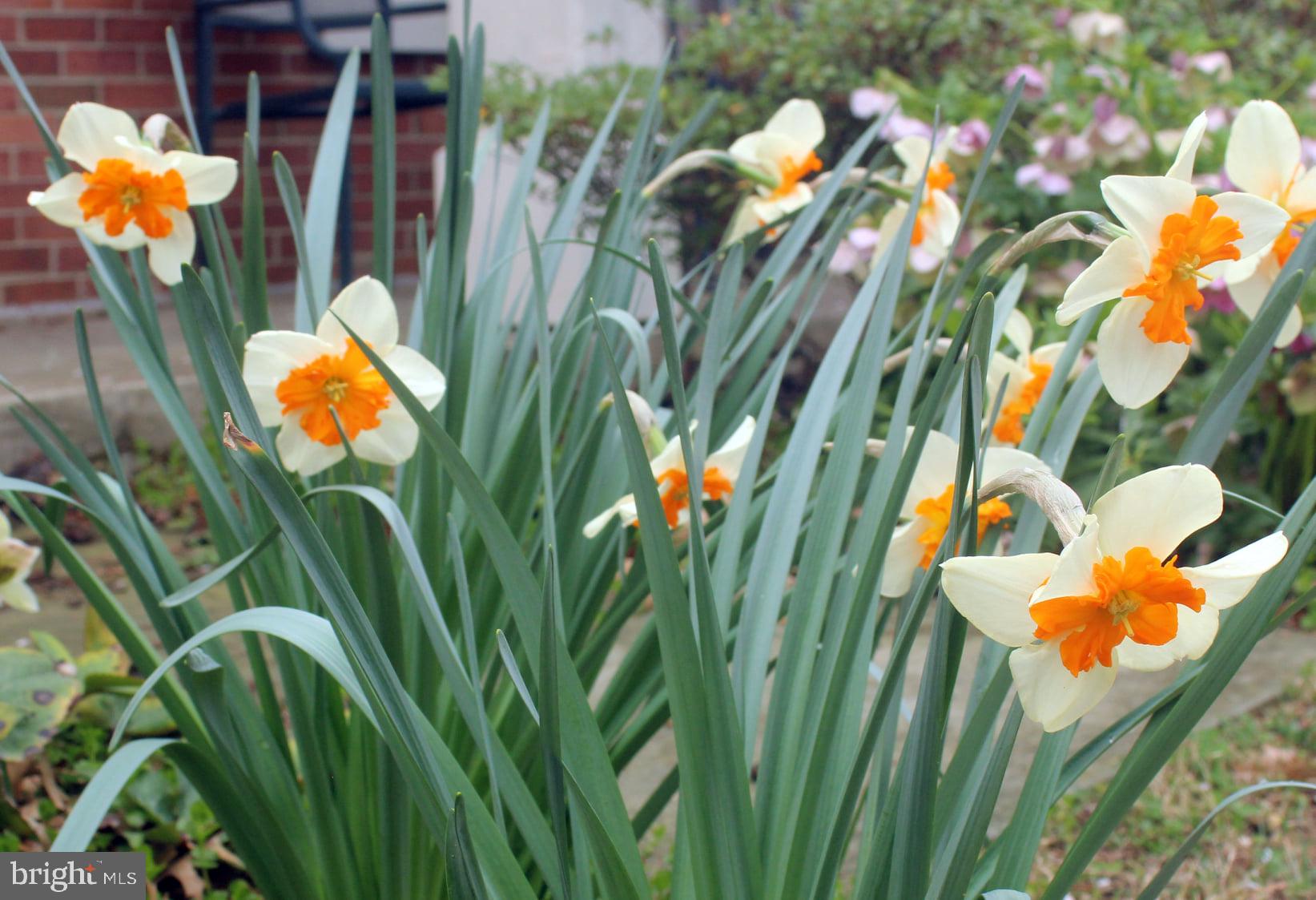 WHETSTONE - Residential