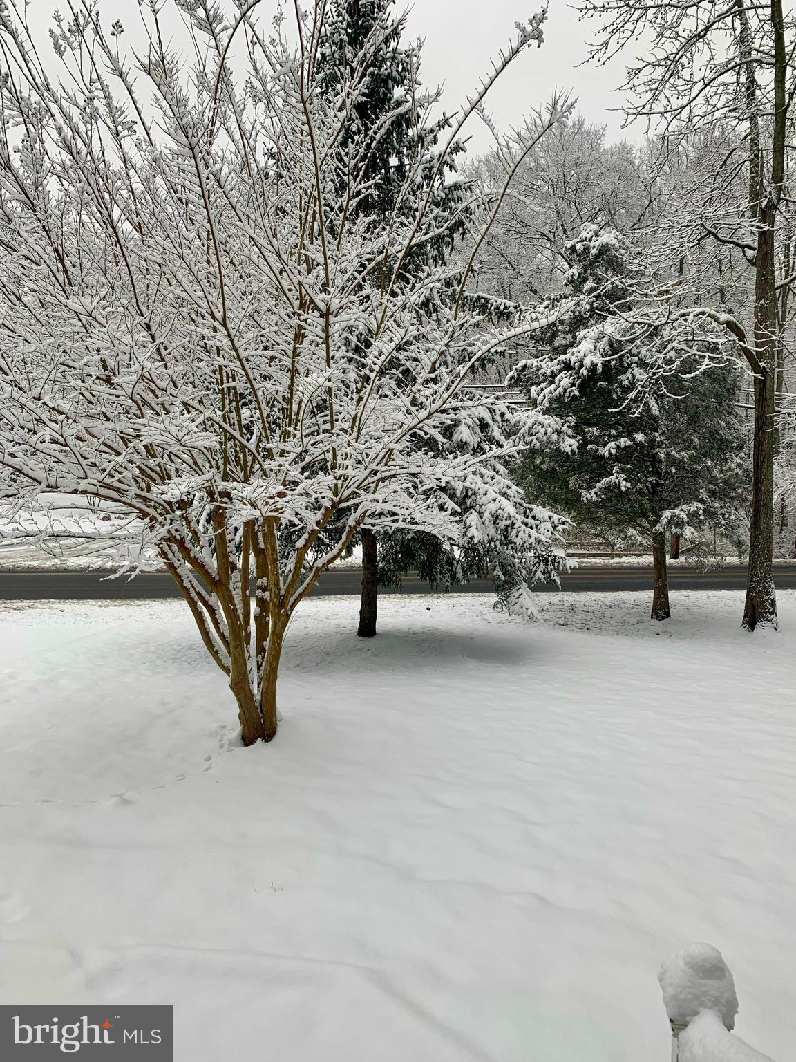 OYSTER HARBOR - Residential