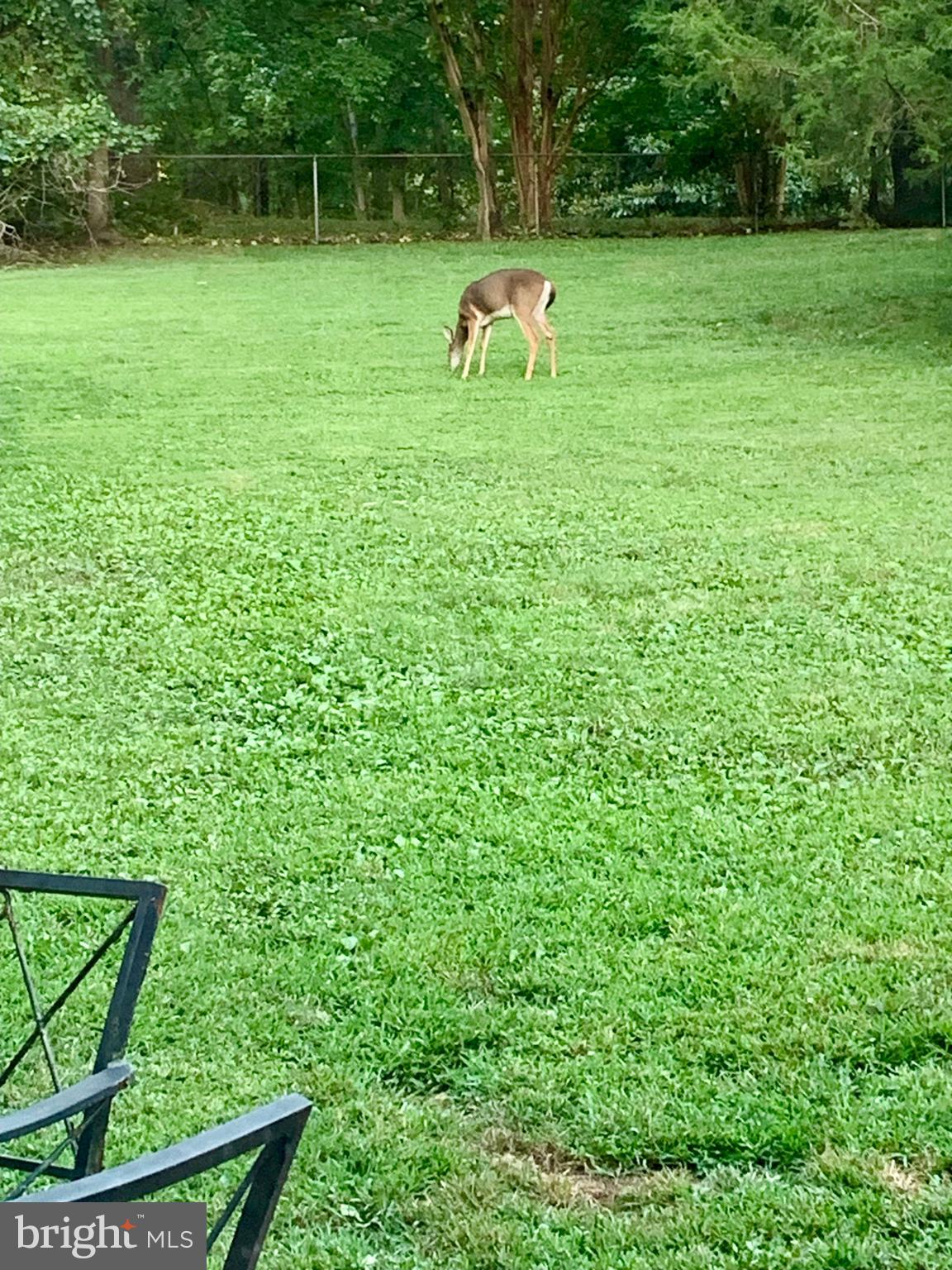 OYSTER HARBOR - Residential