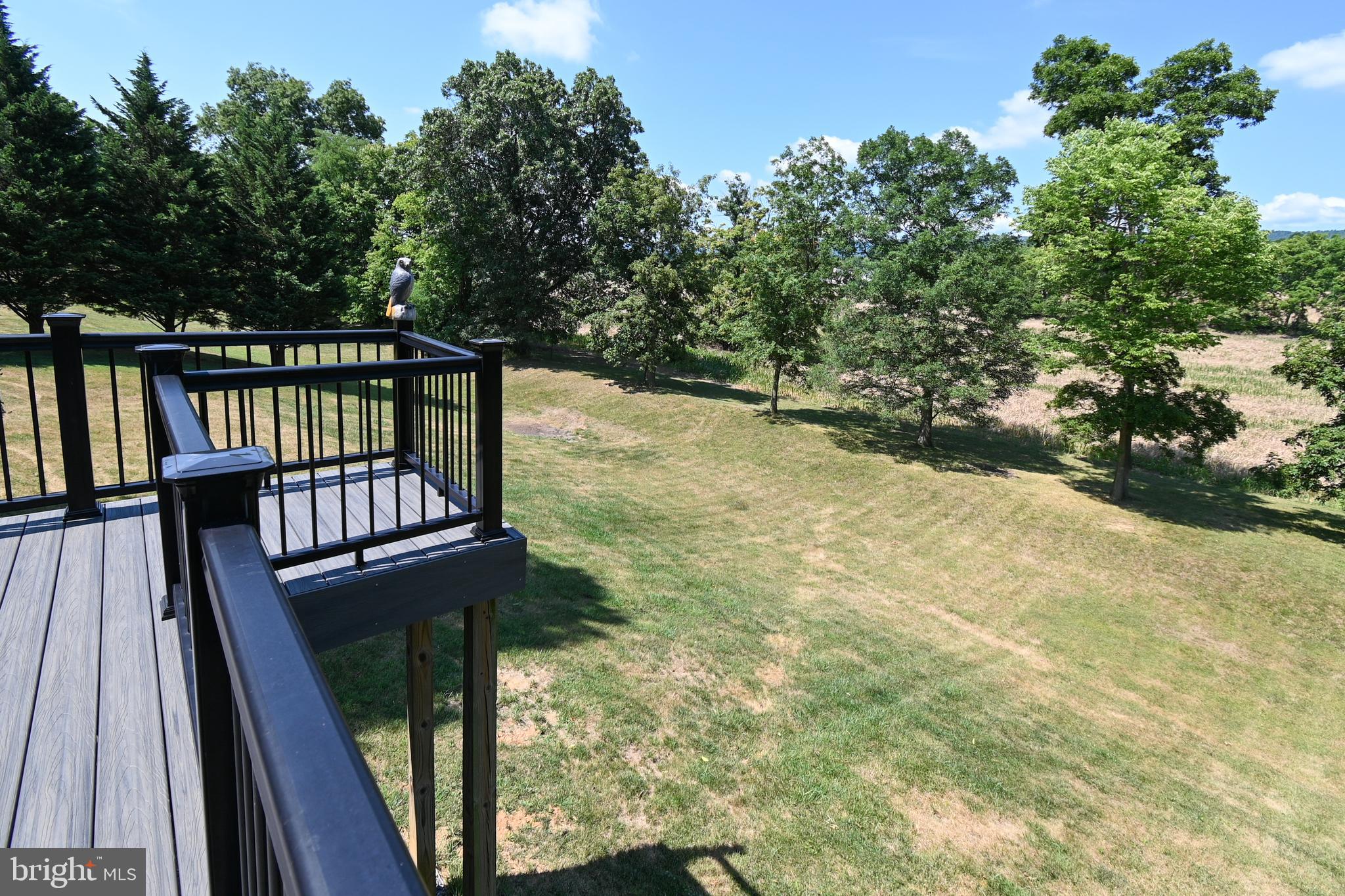 MOUNTAIN BROOK ESTATES - Residential