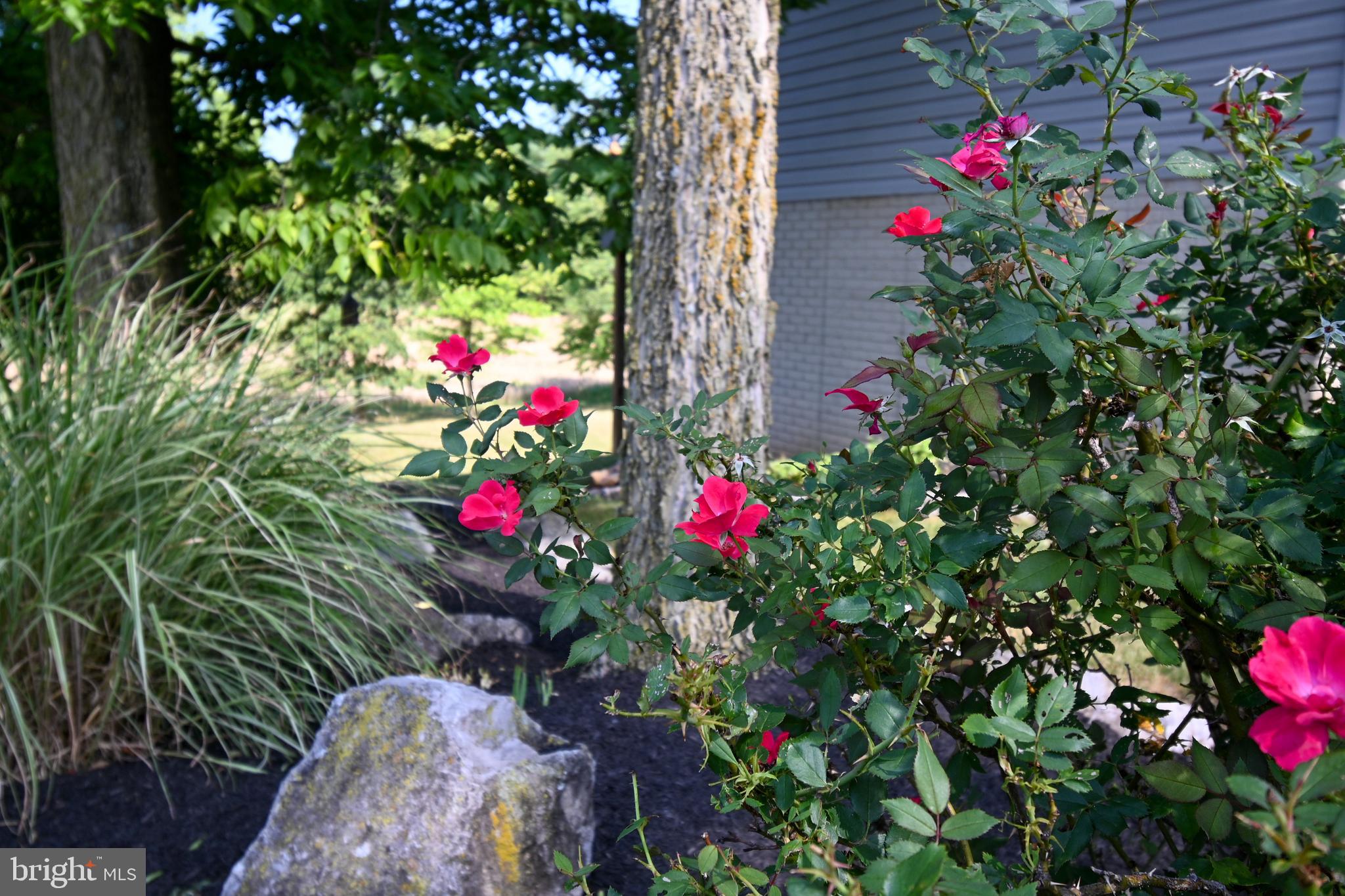 MOUNTAIN BROOK ESTATES - Residential