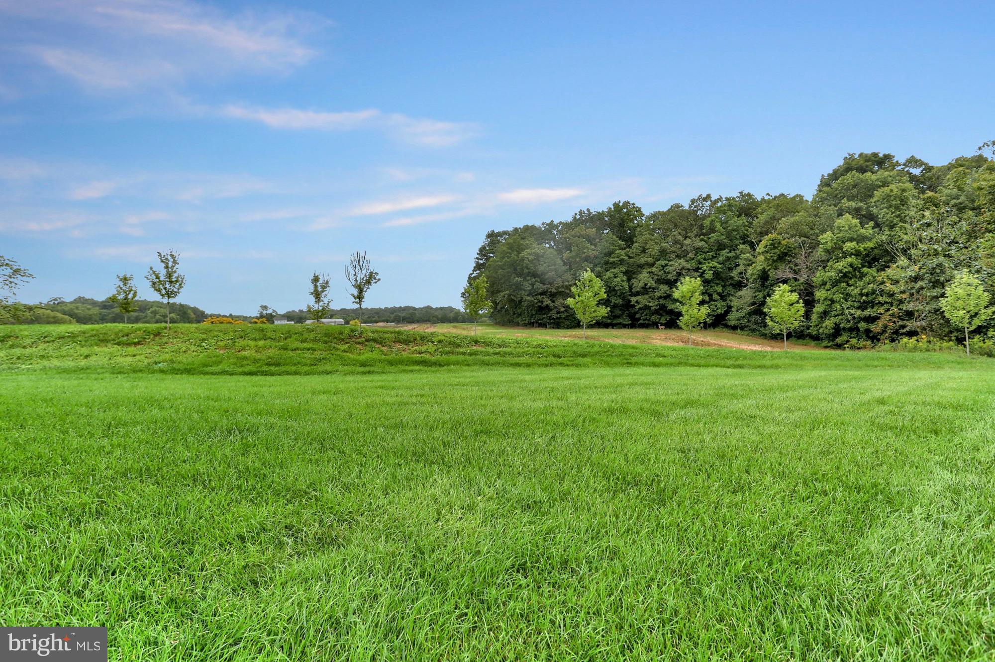 THE LINKS AT GETTYSBURG - Residential