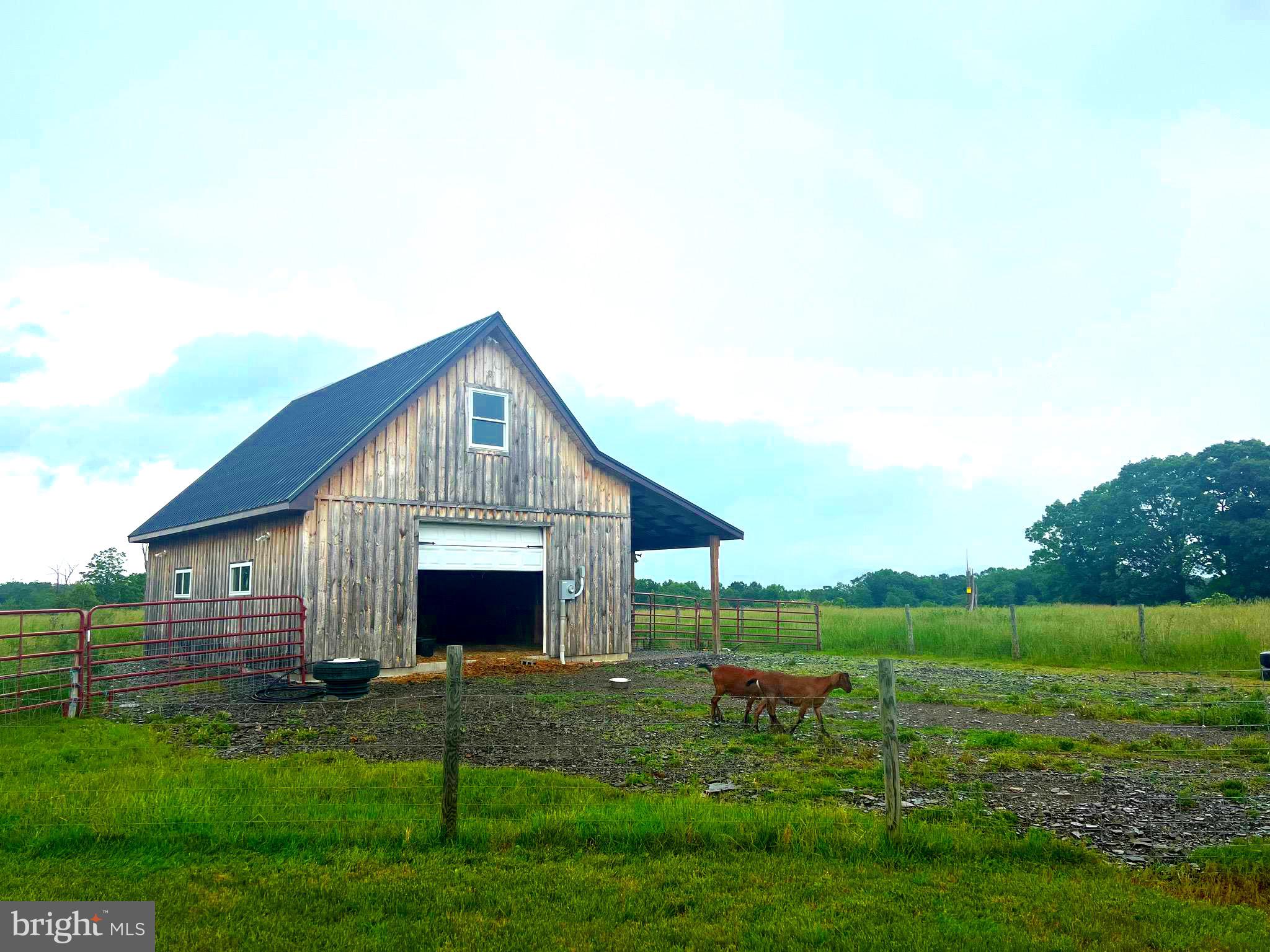 NONE AVAILABLE - Farm