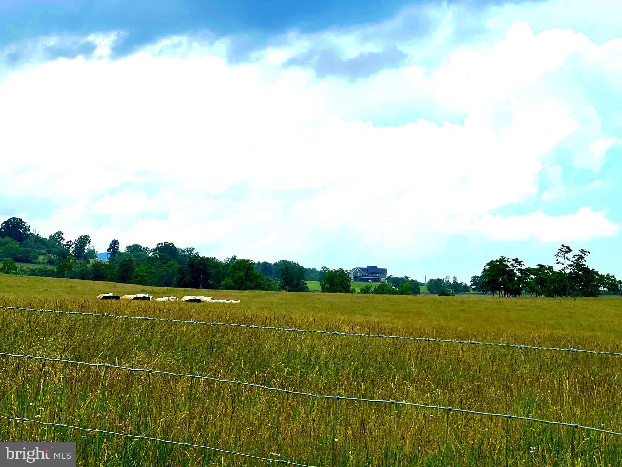 NONE AVAILABLE - Farm