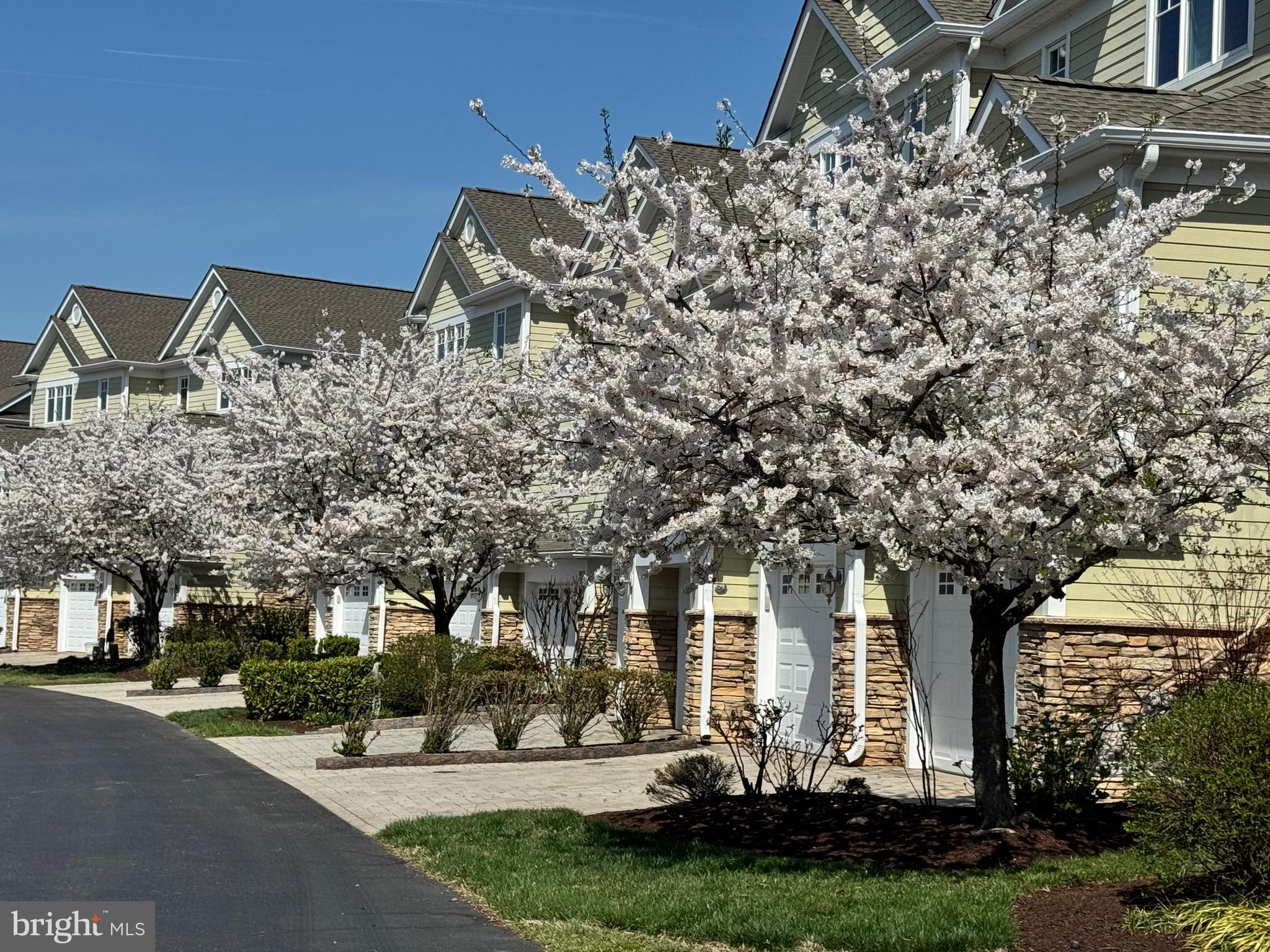 NARROWS POINTE - Residential