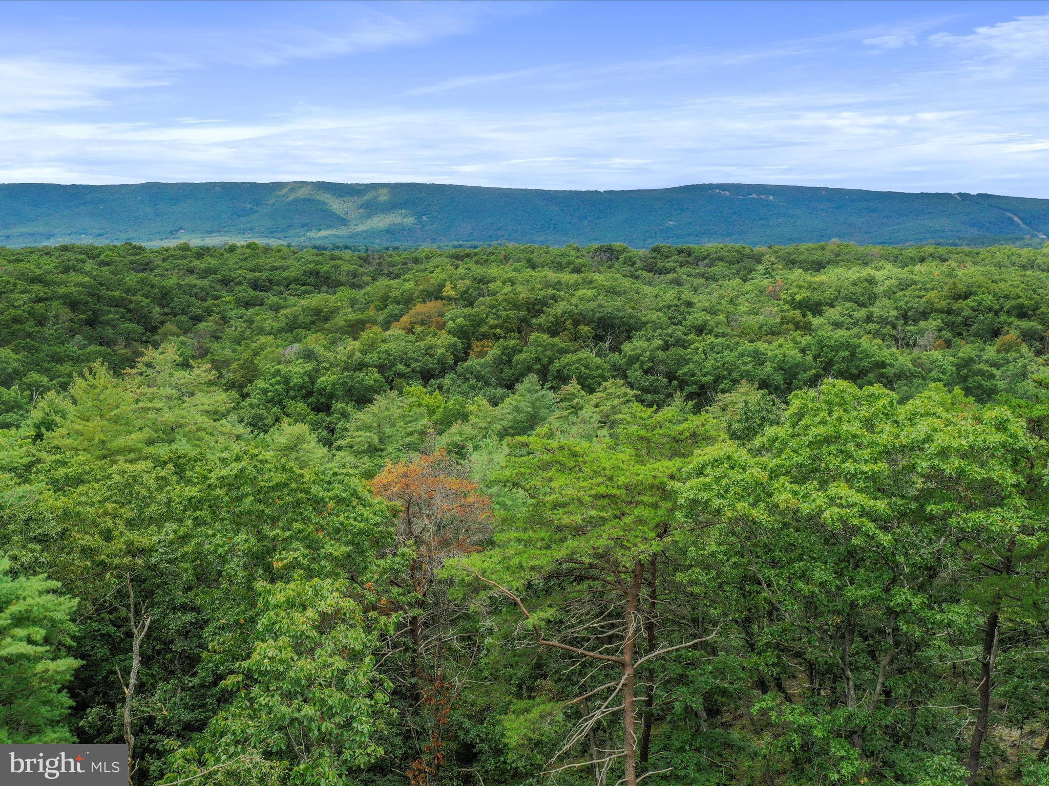 MT WILLIAMS - Residential