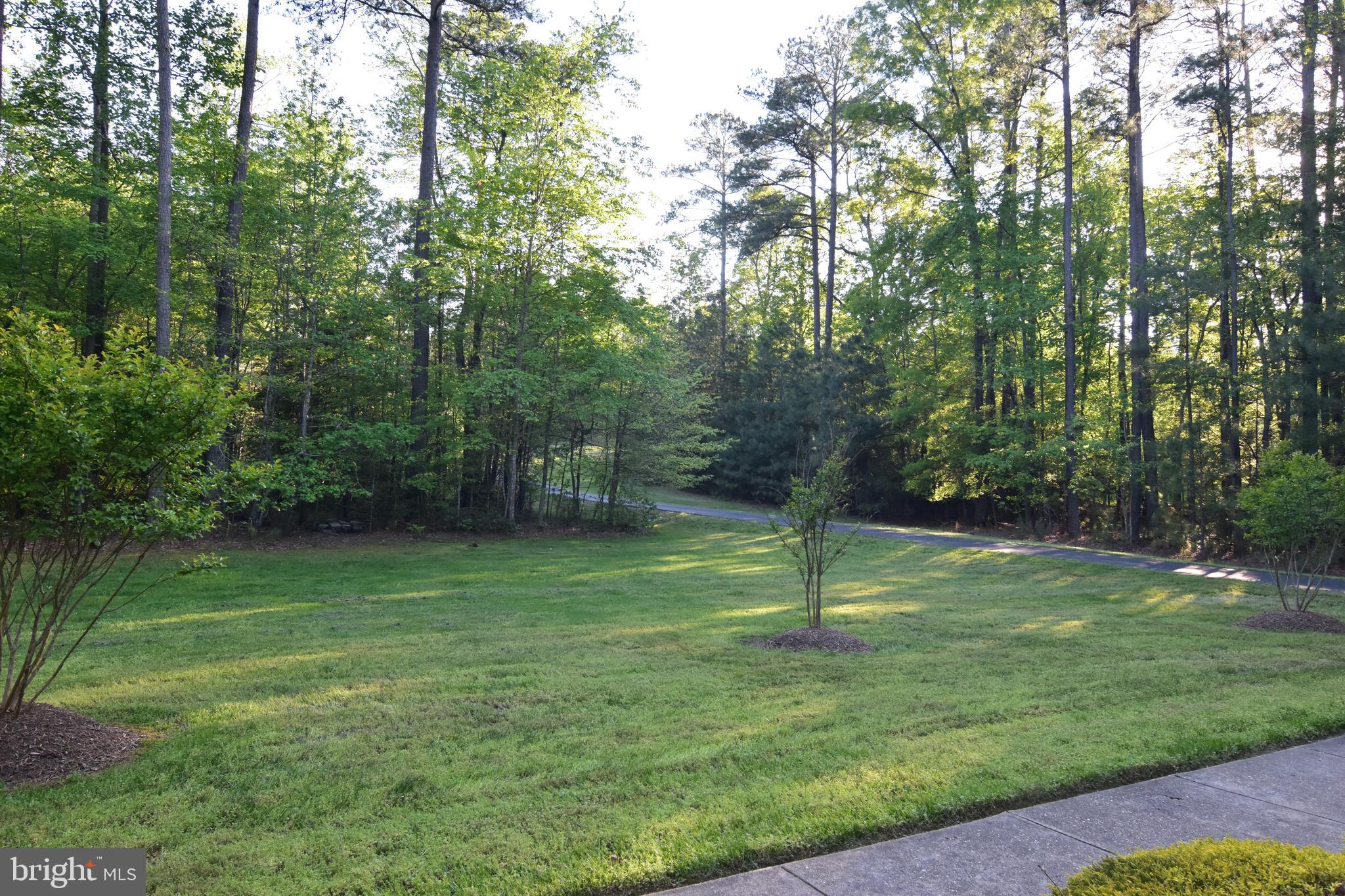 CHESTNUT HILLS - Residential