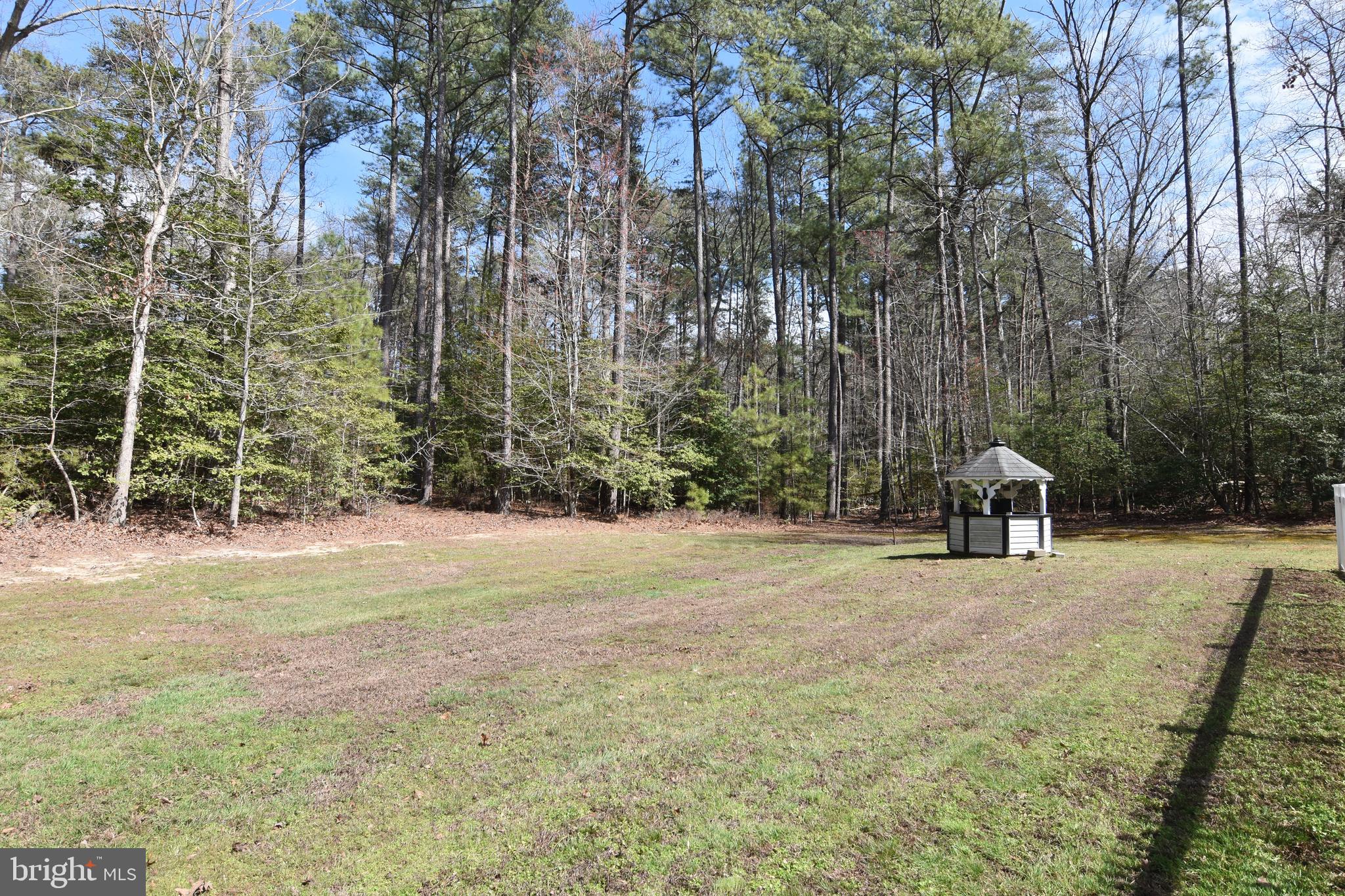 CHESTNUT HILLS - Residential