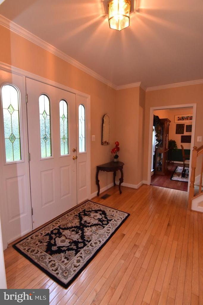 CHESTNUT HILLS - Residential