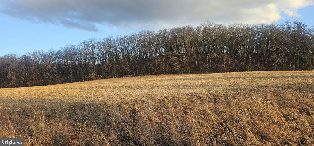 NONE AVAILABLE - Land