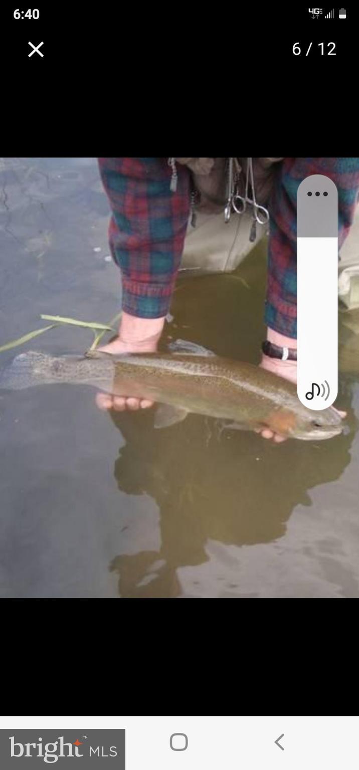 NONE AVAILABLE - Land