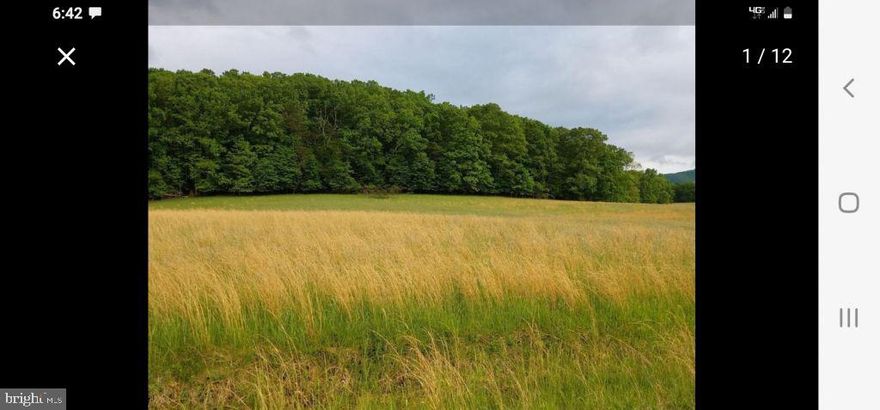 Black Diamond Ranch Sub Division, NEW CASTLE. the most sought out lot in Black Diamond Subdivision!
A corner lot with 18 Acres with approximately 8 acres of open pasture and 10 acreas of mature hardwoods
located in Craig County, VA surrounded by the Jefferson National Forest and just 200 yards from John's
Creek, a stocked trout stream owned by the subdivision. Minimum house to be built is 1700 sf. This is
country living at its best. Multiple building sites available both field and on top of wooded area with long
mountain range views. 20 miles to Blacksburg and 45 miles to Roanoke Regional Airport.