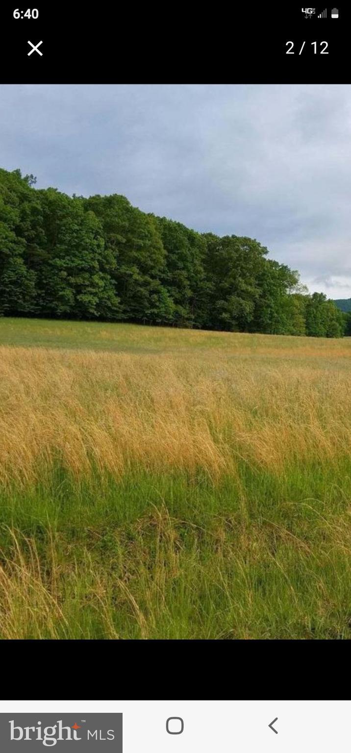 NONE AVAILABLE - Land