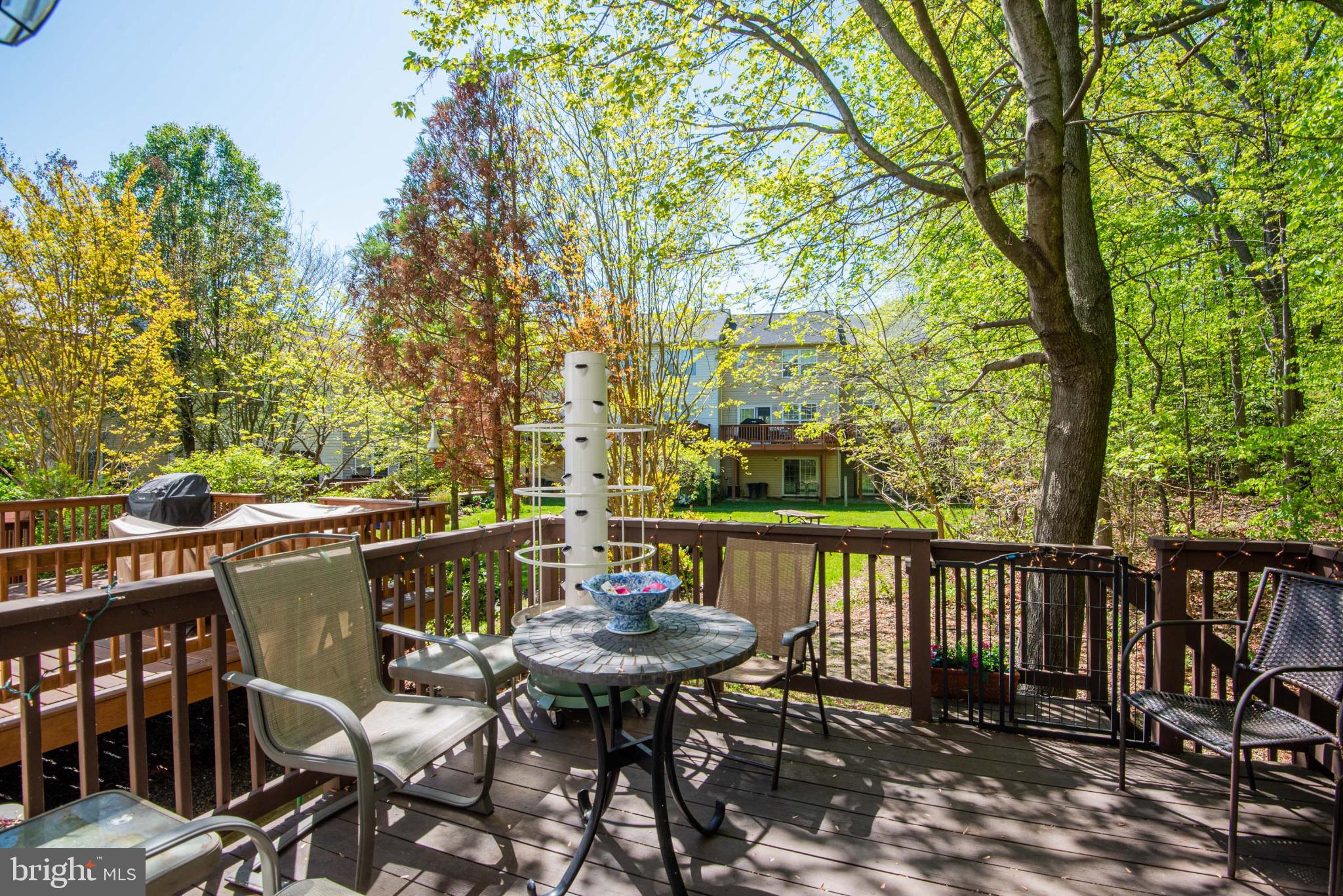 BEECHWOOD HILL - Residential Lease