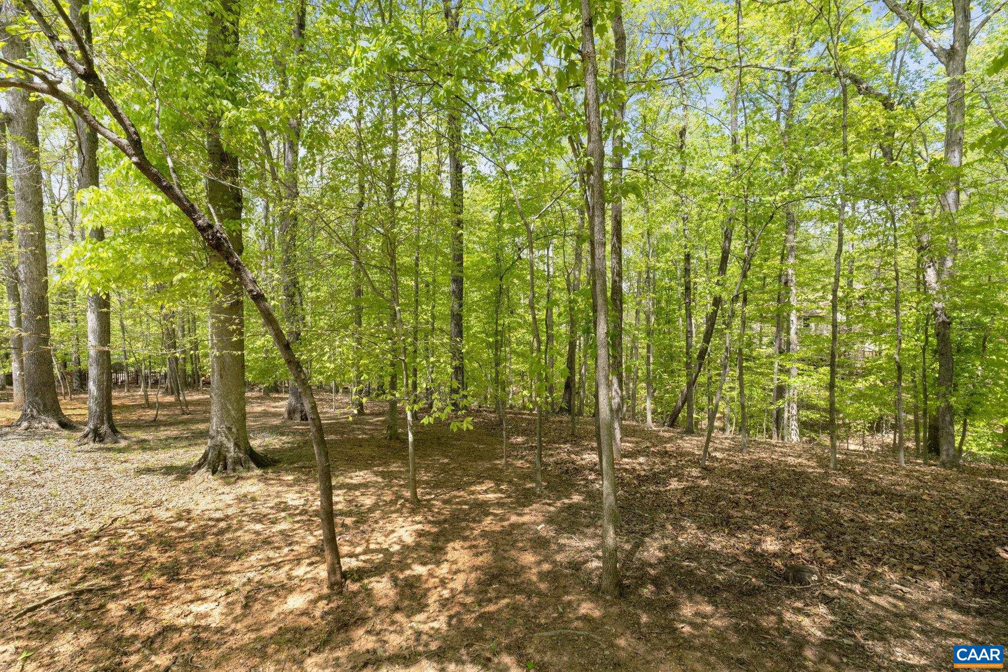 LAKE MONTICELLO - Residential