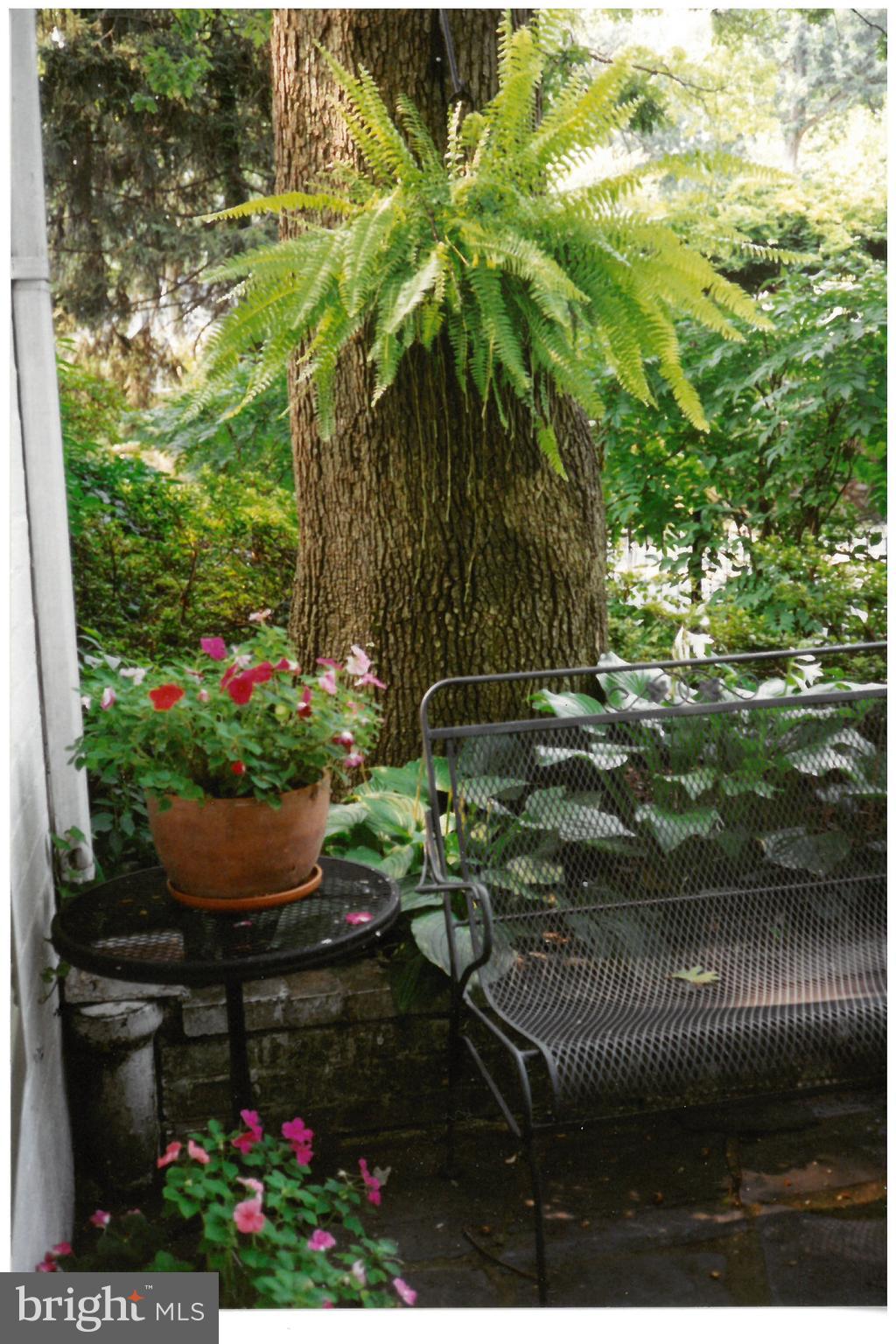 BEVERLY HILLS - Residential