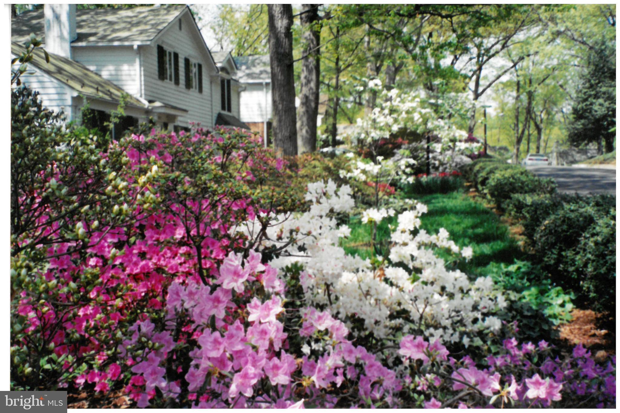 BEVERLY HILLS - Residential