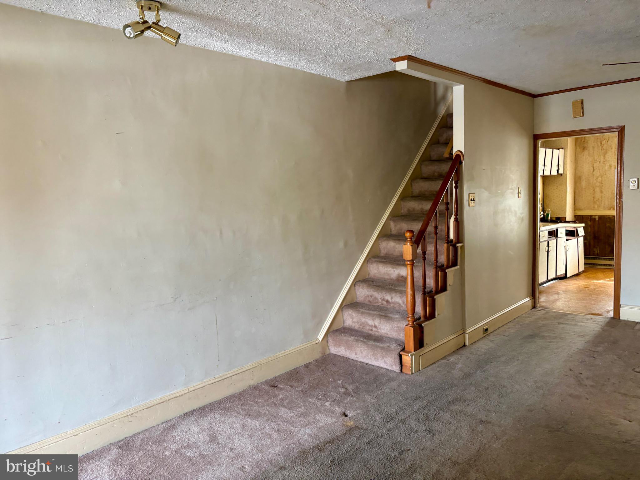 DOWNINGTOWN BORO - Residential