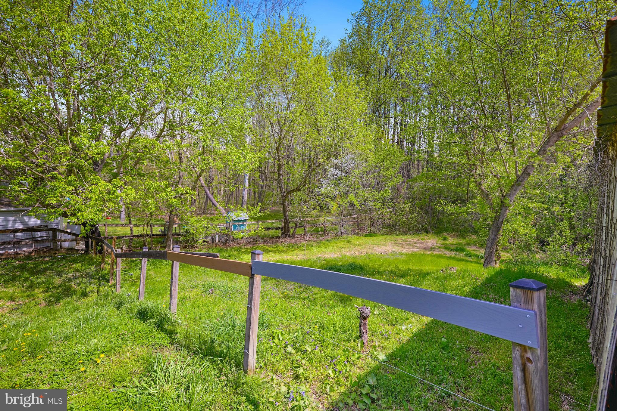 BLUE RIDGE FARMS - Farm