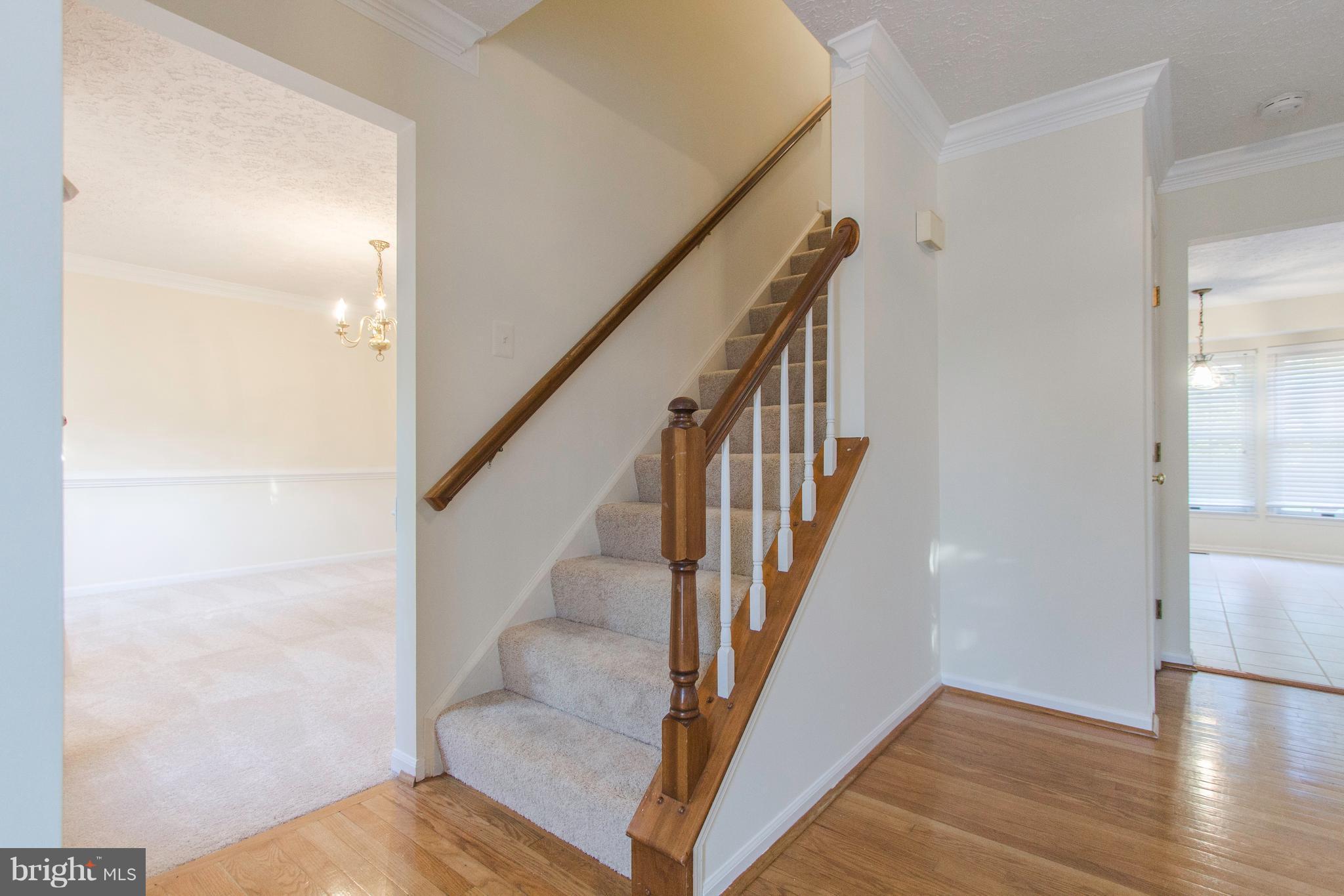 NORTH SHERWOOD FOREST - Residential