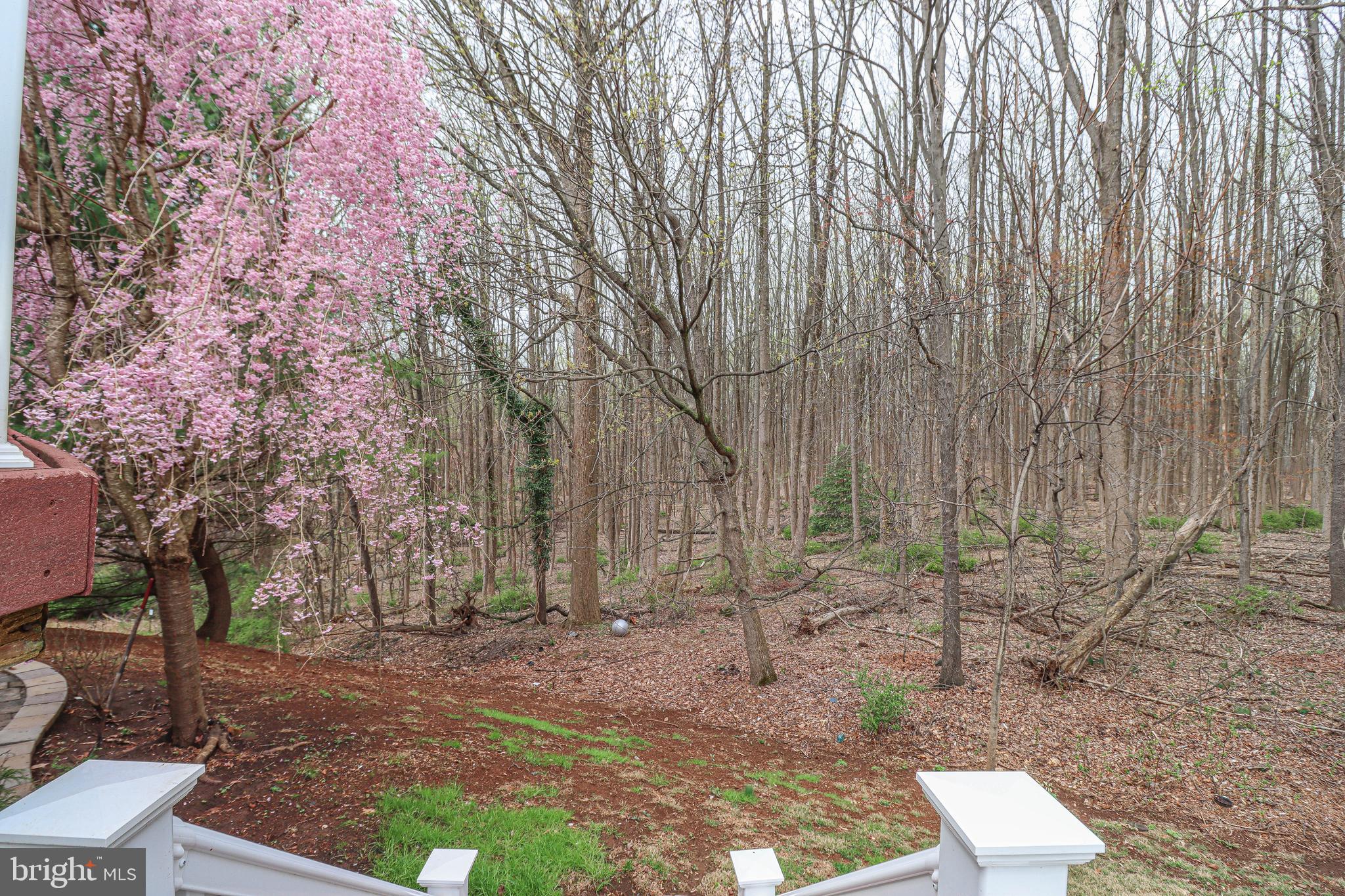 PERRY HALL - Residential