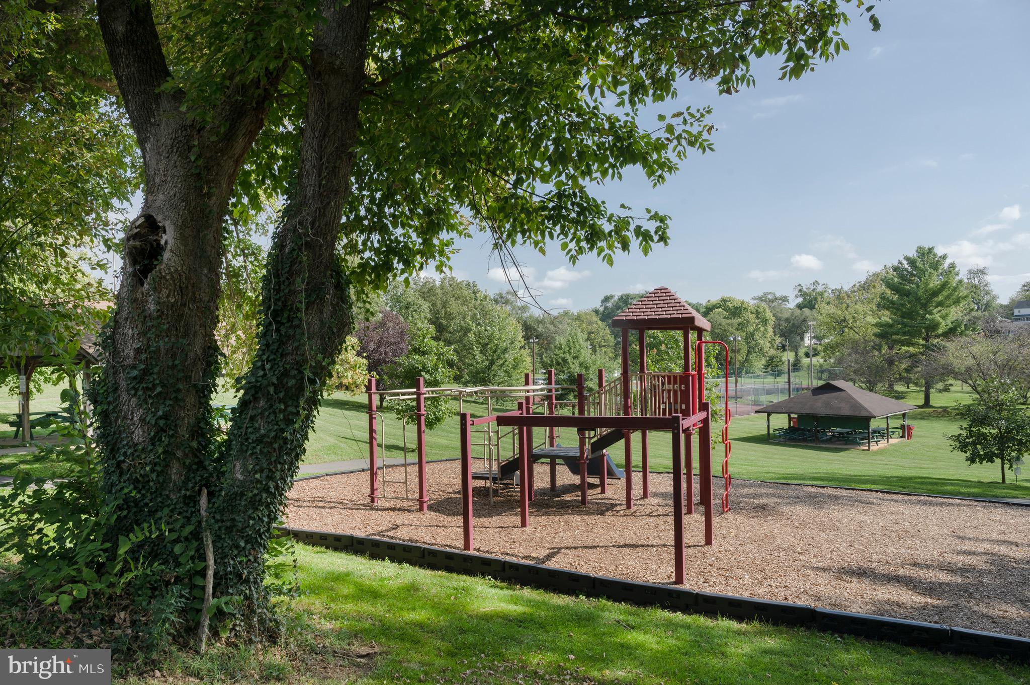 SHENANDOAH SPRINGS - Residential