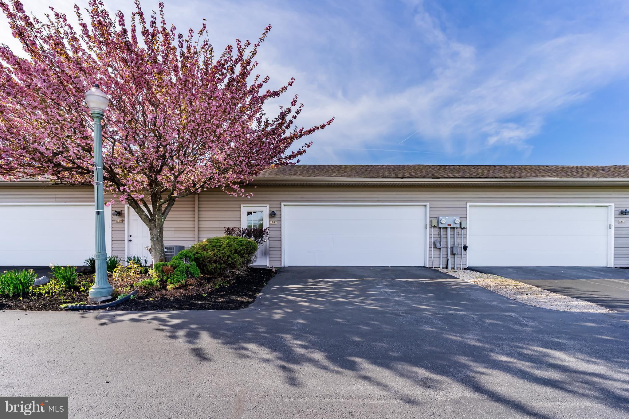 WALNUT COURT - Residential