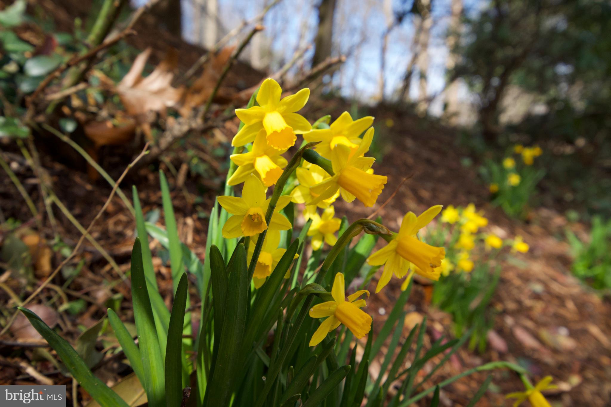 VILLAMAY - Residential