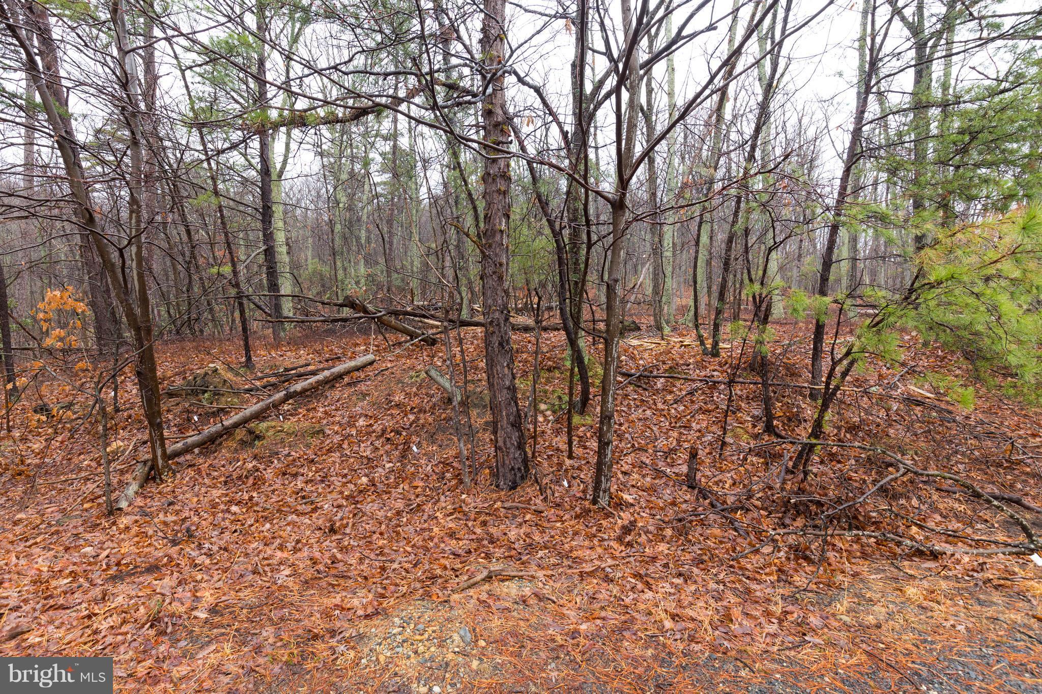 BULL RUN MOUNTAIN ESTATE - Land