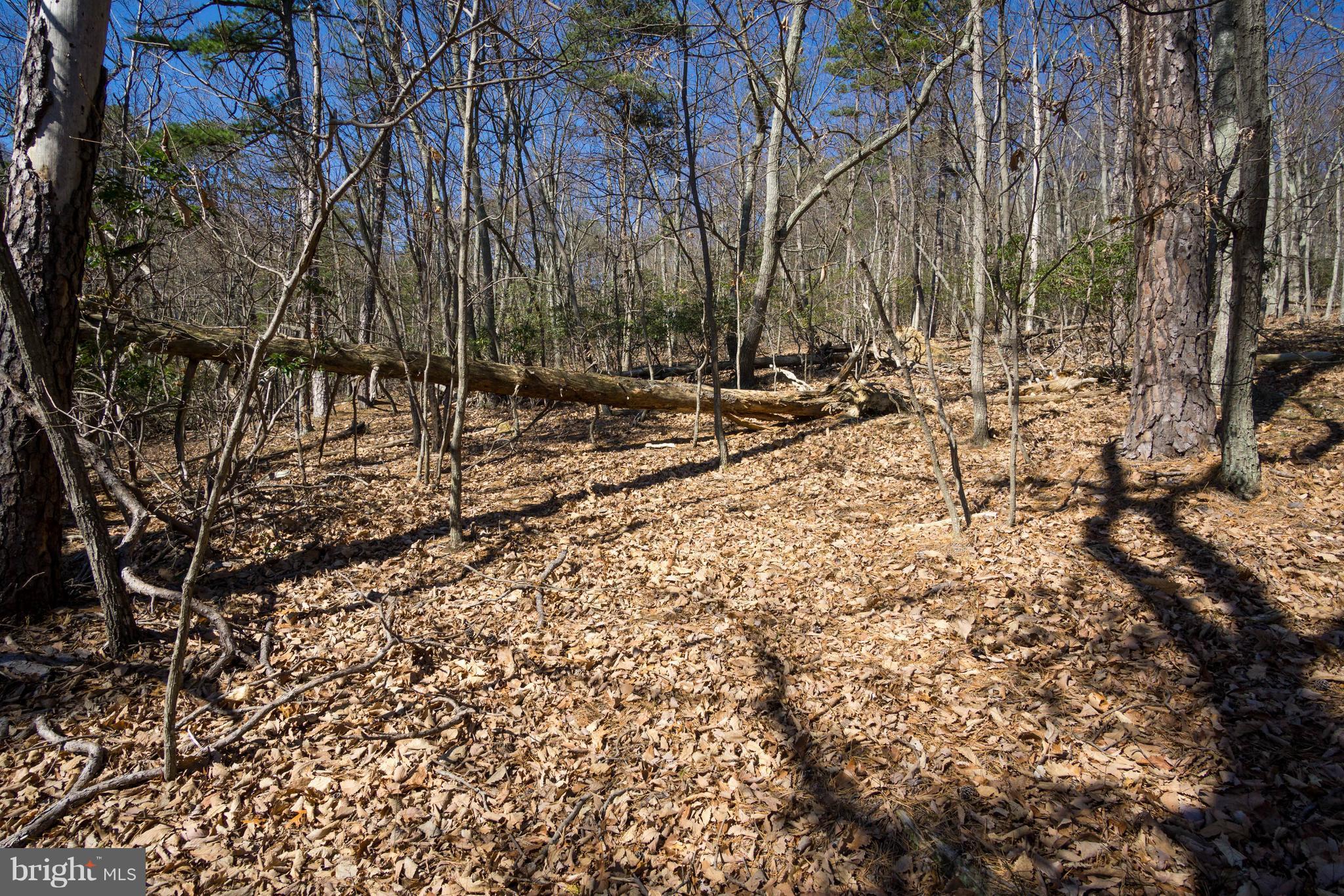 BULL RUN MOUNTAIN ESTATE - Land