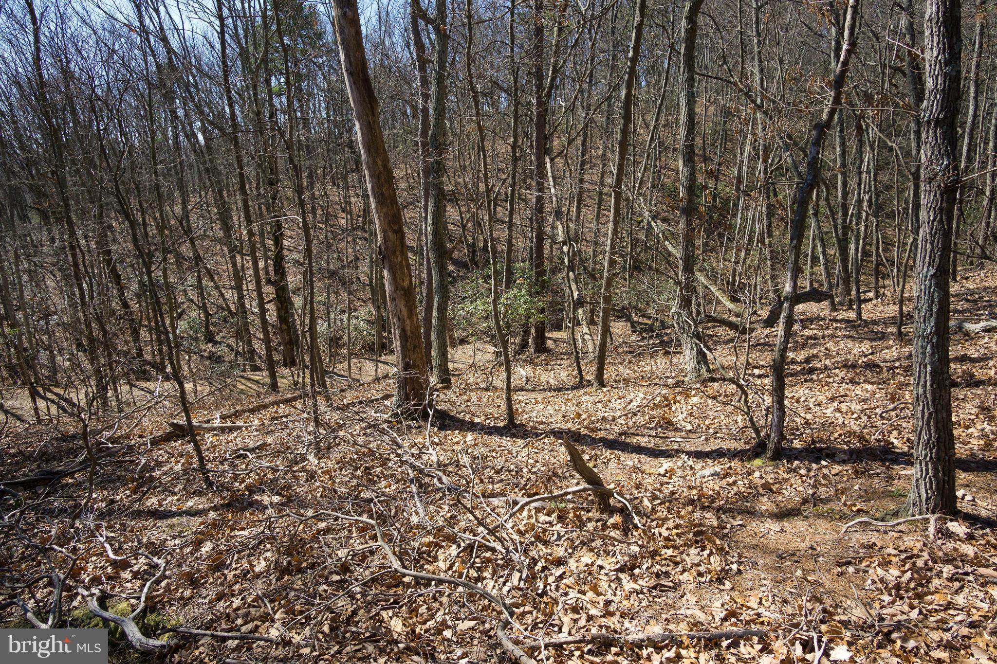 BULL RUN MOUNTAIN ESTATE - Land