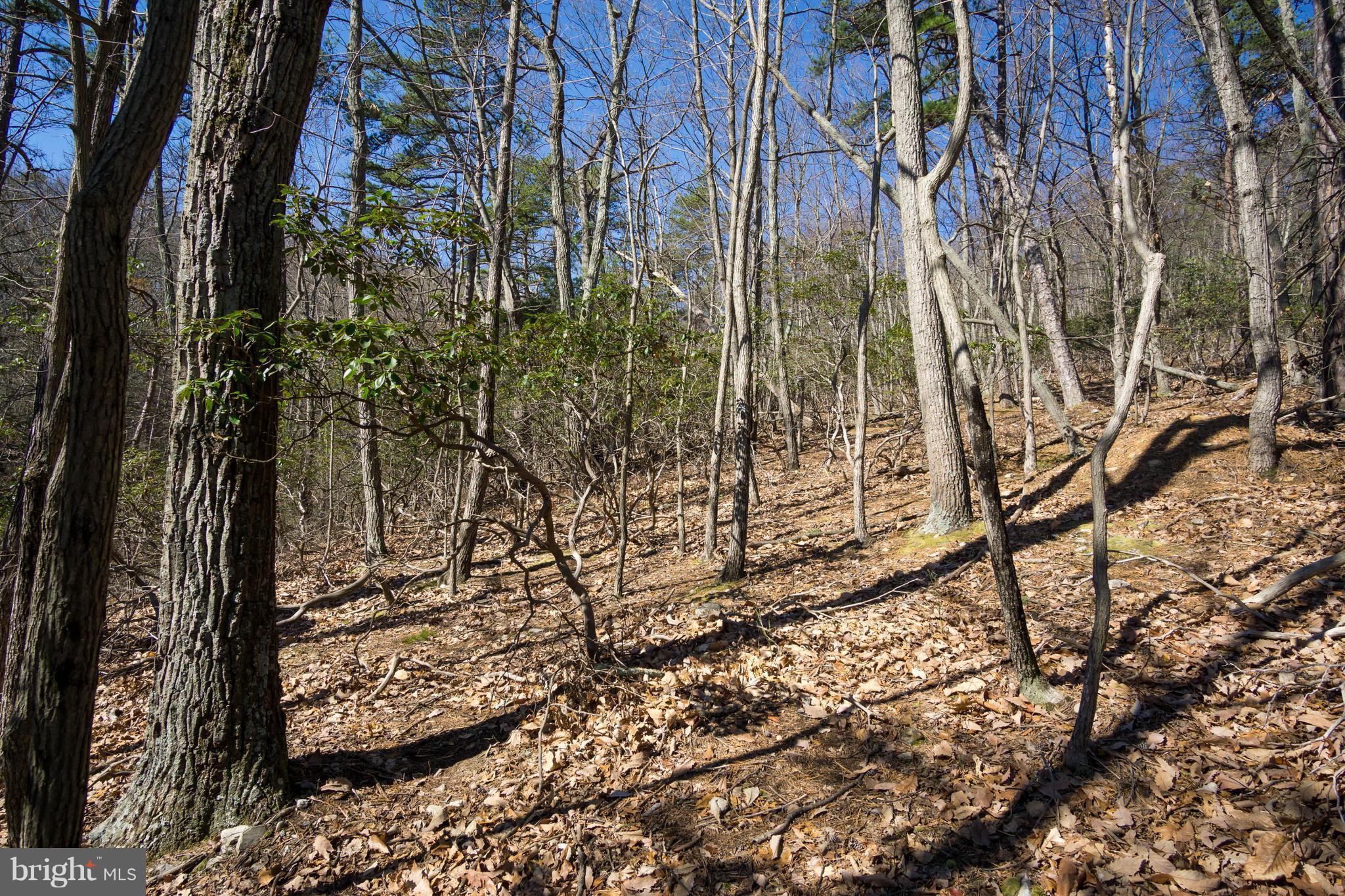 BULL RUN MOUNTAIN ESTATE - Land