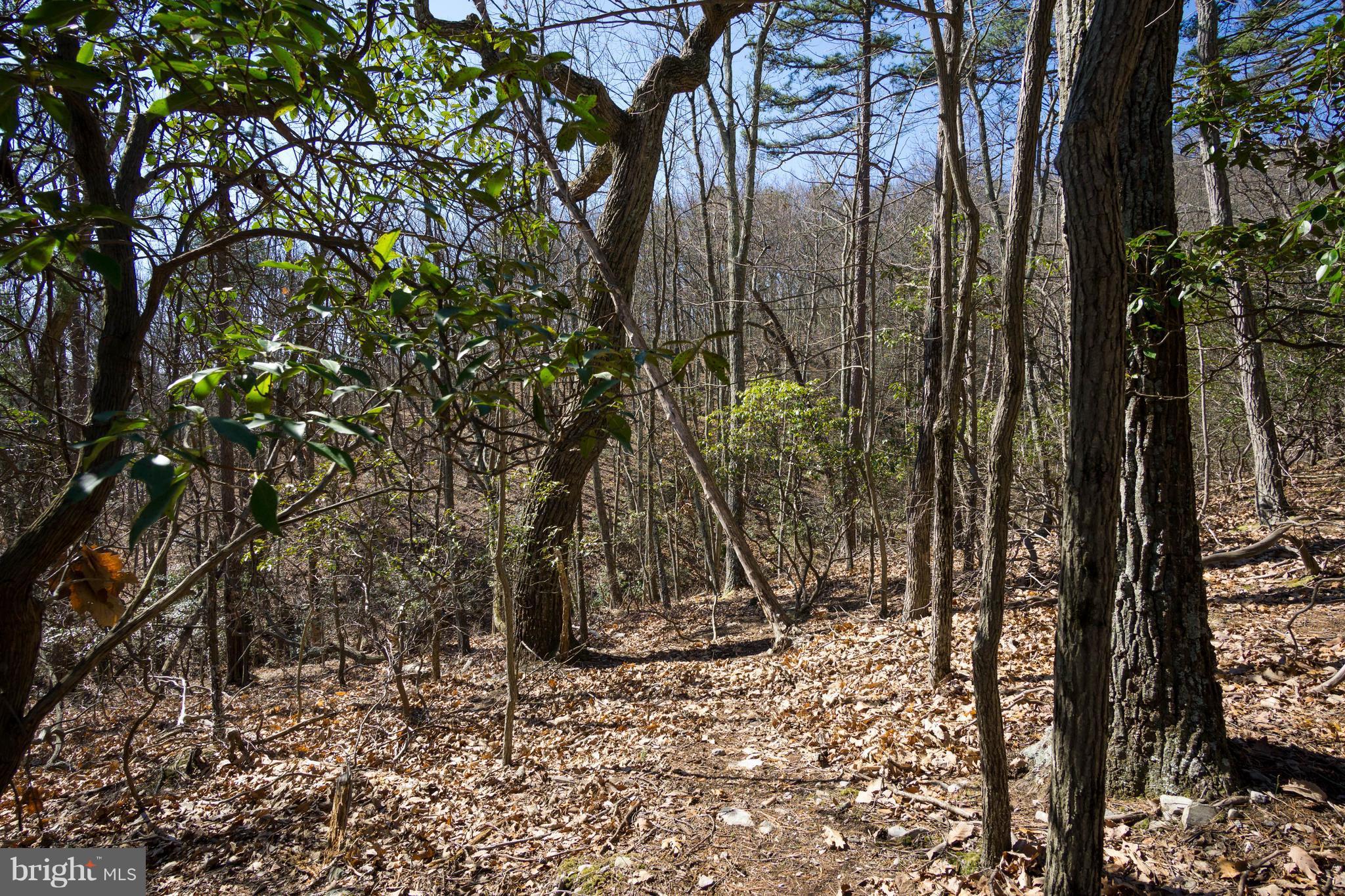 BULL RUN MOUNTAIN ESTATE - Land