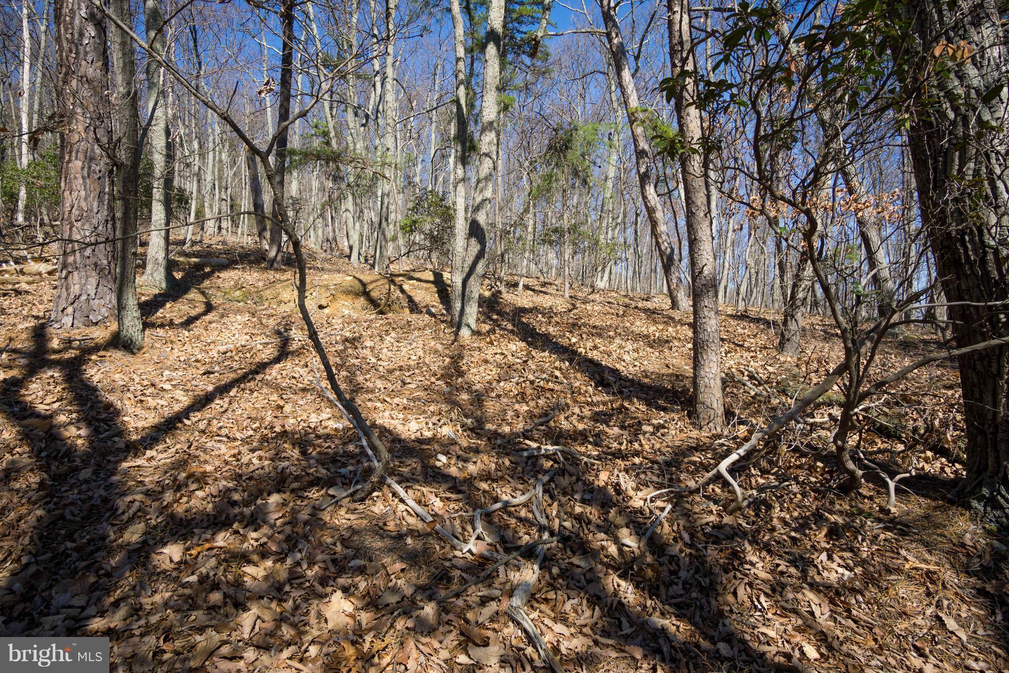 BULL RUN MOUNTAIN ESTATE - Land